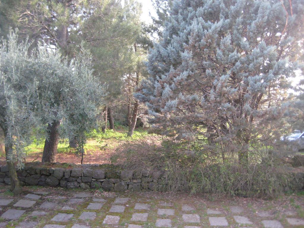 La Casa Del Cavaliere Villa Santa Maria di Licodia Bilik gambar