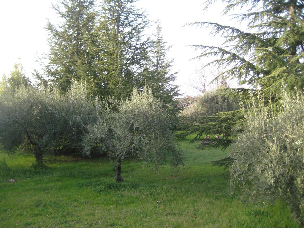 La Casa Del Cavaliere Villa Santa Maria di Licodia Bilik gambar